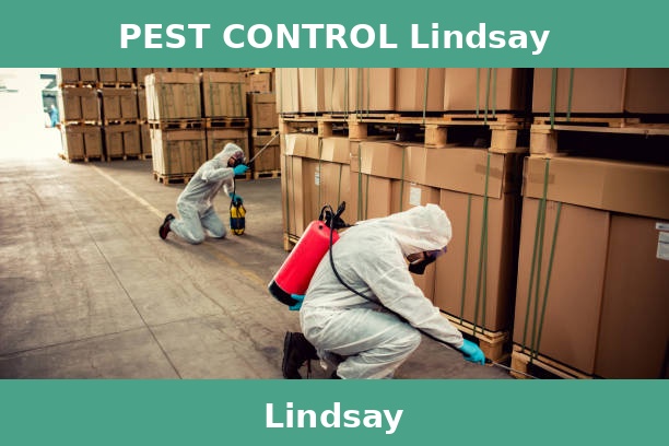PEST CONTROL Lindsay